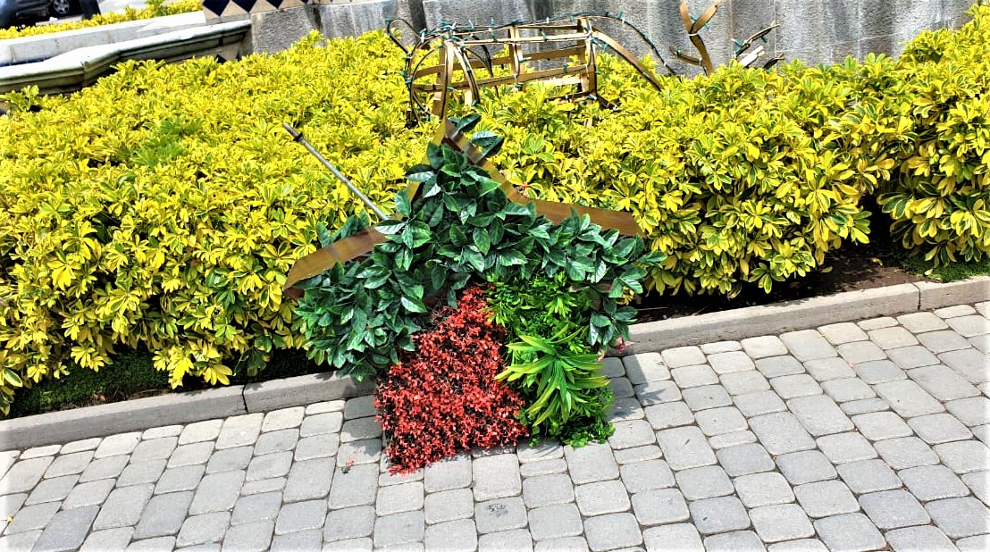 CONSTRUCCIÓN DE JARDINES VERTICALES